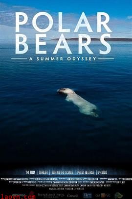北极熊：一个夏天的奥德赛