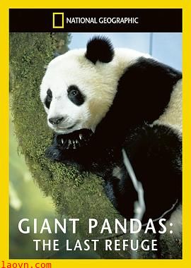 拯救大熊猫