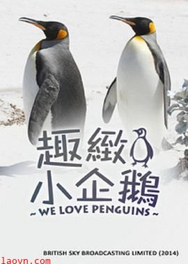 我们爱企鹅