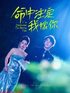 命中注定我嫁你