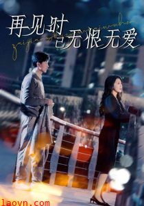 再见时已无恨无爱