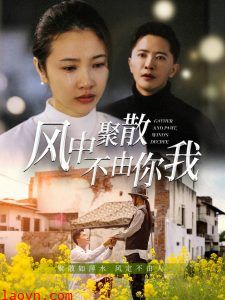 风中聚散不由你我