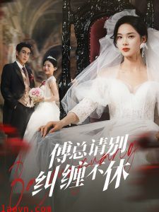 傅总请别纠缠不休