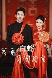 我和白蛇有个约定