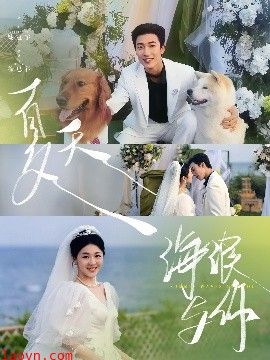 夏天，海浪与你