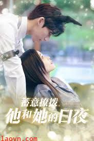 蓄意撩拨他和她的日夜