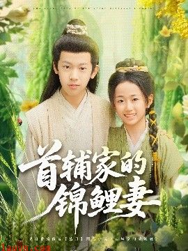 首辅家的锦鲤妻