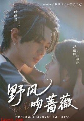 野风吻蔷薇