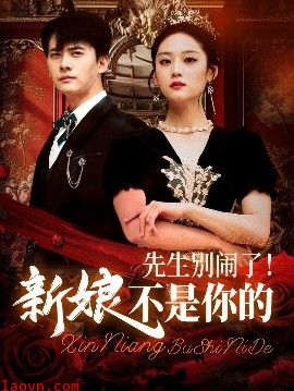 先生别闹了新娘不是你的