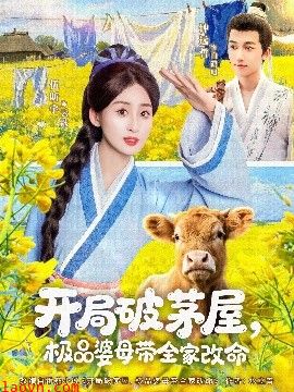 开局破茅屋极品婆母带全家改命