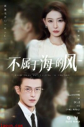 不属于海的风