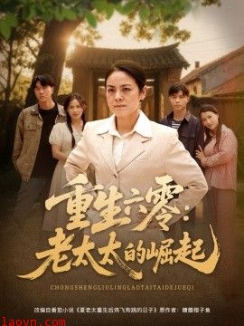 重生六零：老太太的崛起