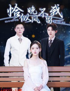 恰似晚风不留我&弃他如风