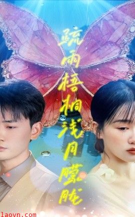 疏雨梧桐浅月朦胧