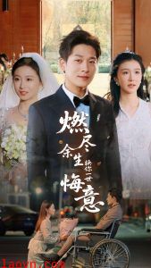 燃尽余生换你一世悔意