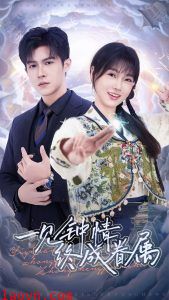 一见钟情终成眷属