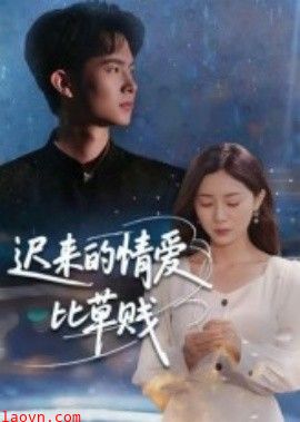 迟来的情爱比草贱