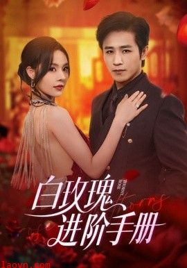 白玫瑰进阶手册