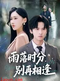 雨落时分别再相逢