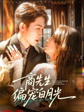 商先生偏宠白月光