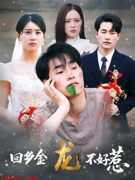 回乡金龙不好惹