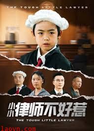 律师不好惹