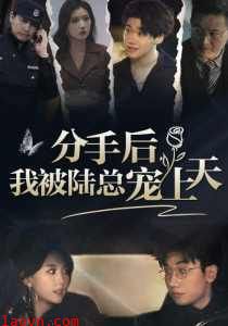 分手后,我被陆总宠上天