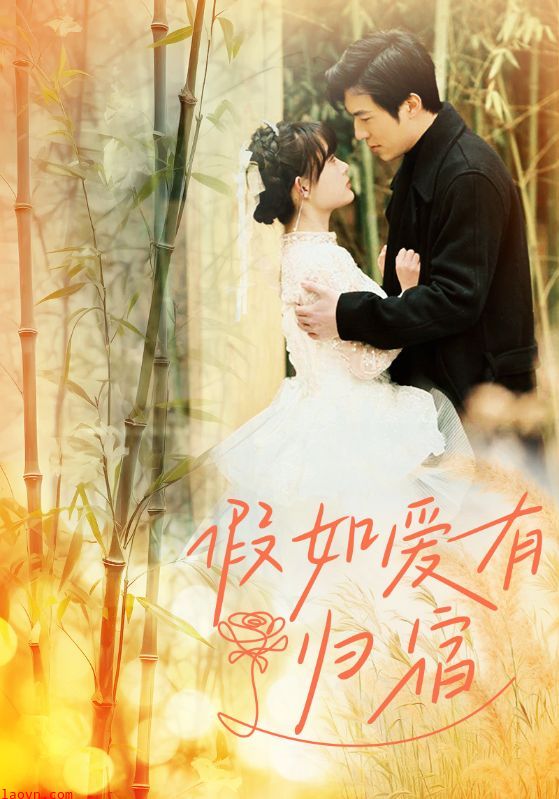 假如爱有归宿