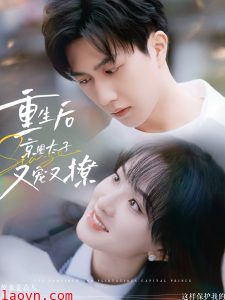 重生后京圈太子又宠又撩