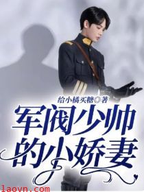 少帅的小娇妻