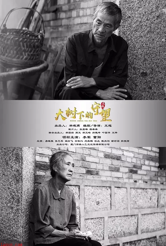大树下的守望【影视解说】