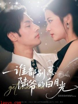 谁都别惹陆爷的白月光