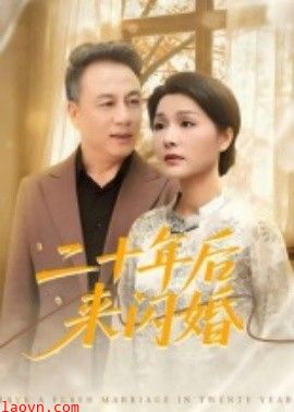 二十年后来闪婚
