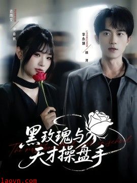 黑玫瑰与天才操盘手