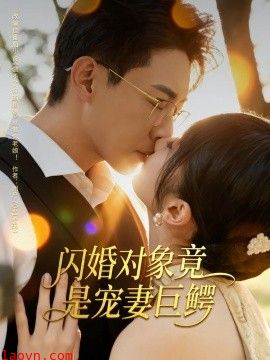 闪婚对象竟是宠妻巨鳄