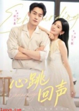 心跳回声