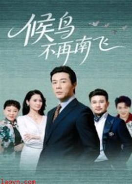 候鸟不再南飞