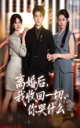 离婚后我收回一切你哭什么