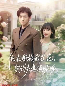 他在赚钱我在花,契约夫妻顶呱呱