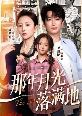 那年月光落满地