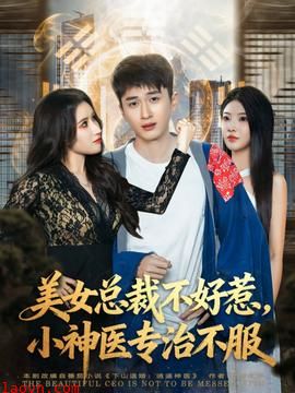 美女总裁不好惹,小神医专治不服