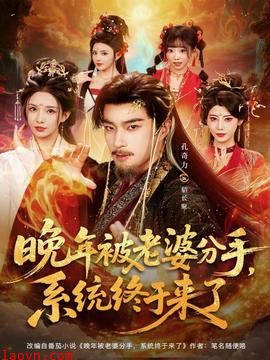 晚年被老婆分手，系统终于来了