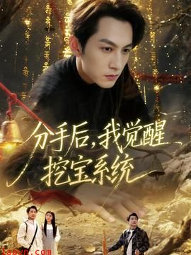 分手后,我觉醒挖宝系统