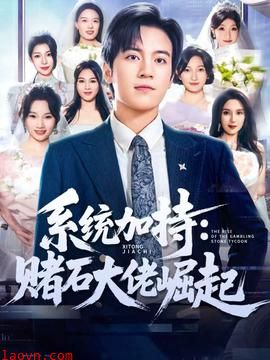 统加持：赌石大佬崛起