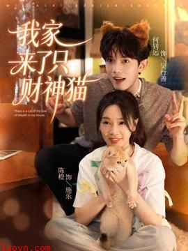 我家来了只财神猫