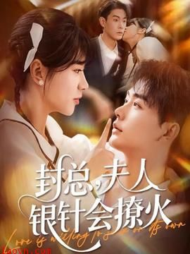 封总，夫人银针会撩火