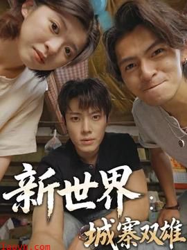 新世界：城寨双雄