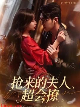 抢来的夫人超会撩