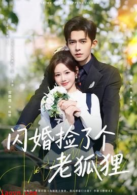 闪婚捡了个老狐狸