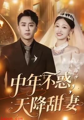 中年不惑，天降甜妻